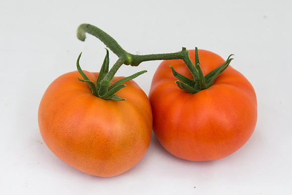 Tomato_DRW7834_MX_Group_0030