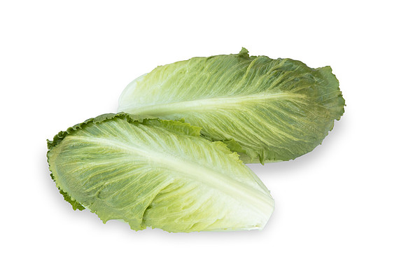 Lettuce_SV2867LG_CA_0165
