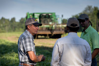 PicklingCucumber_Vlaspik_Harvest_MI_0062