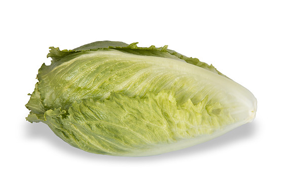 Lettuce_SV2867LG_CA_0045