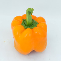 BellPepper_719_MX_0012