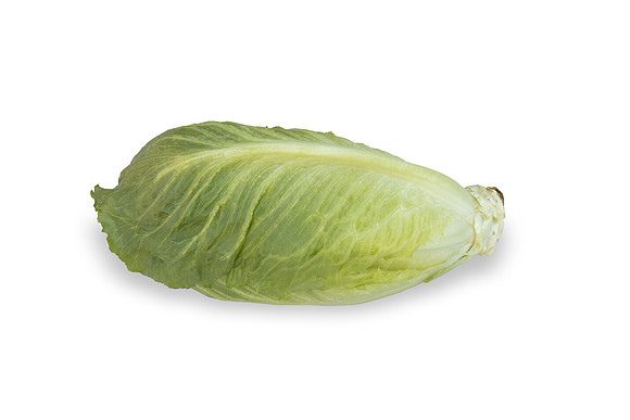 Lettuce_SV2867LG_CA_0148