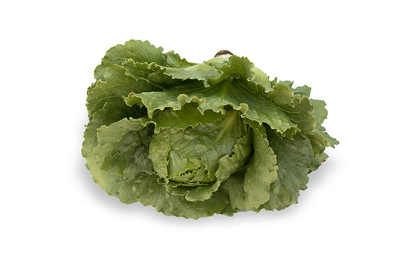 Lettuce_SV2867LG_CA_0110