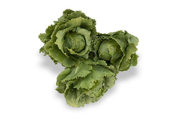 Lettuce_SV2867LG_CA_0118