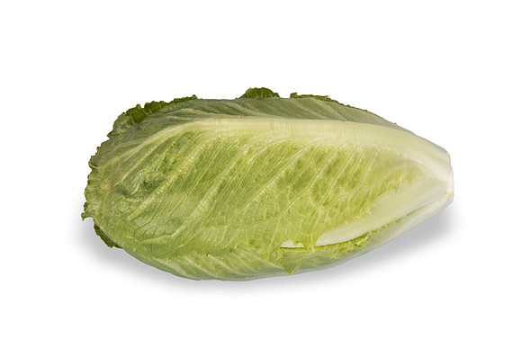Lettuce_SV2867LG_CA_0040