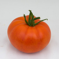 Tomato_DRW7834_MX_0067