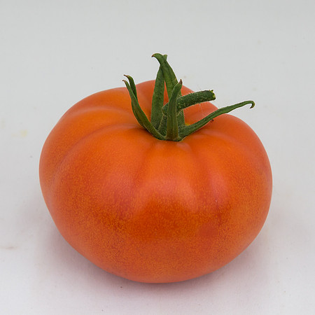 Tomato_DRW7834_MX_0067
