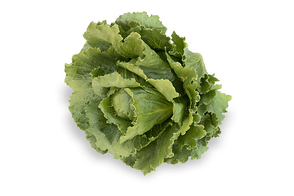 Lettuce_SV2867LG_CA_0125