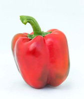 BellPepper_Morrain_MX_0048