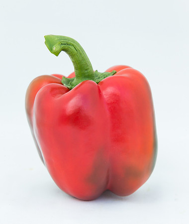 BellPepper_Morrain_MX_0048