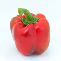 BellPepper_Morrain_MX_0041