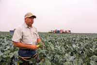 Broccoli_Ironman_CA_0032