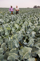 Broccoli_Ironman_CA_0057