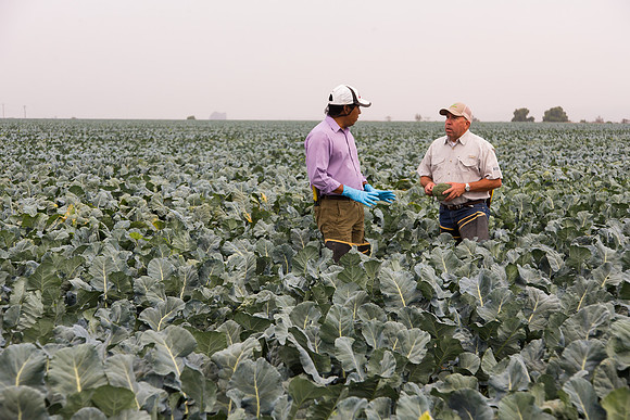 Broccoli_Ironman_CA_0048