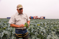 Broccoli_Ironman_CA_0041