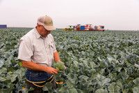 Broccoli_Ironman_CA_0028