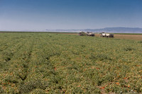 PTOM_TS&L_CA_00565