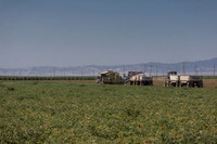 PTOM_TS&L_CA_00574