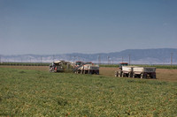 PTOM_TS&L_CA_00563