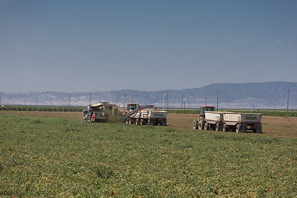 PTOM_TS&L_CA_00563