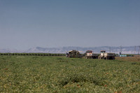 PTOM_TS&L_CA_00582