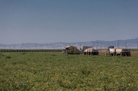 PTOM_TS&L_CA_00573