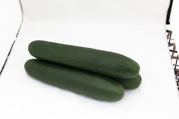 Cucumber_SV2516CP_MX_Group_0008