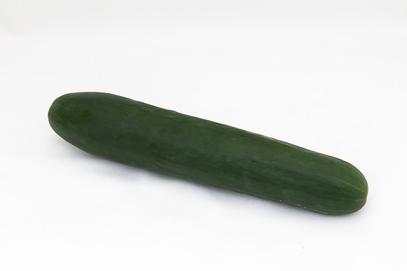 Cucumber_SV2516CP_MX_0009