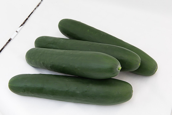 Cucumber_SV2516CP_MX_Group_0022