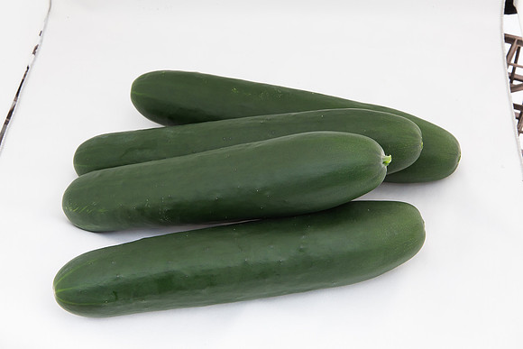 Cucumber_SV2516CP_MX_Group_0020