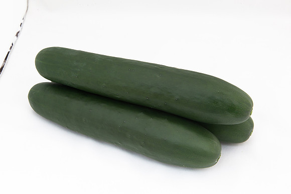 Cucumber_SV2516CP_MX_Group_0009