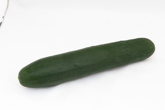 Cucumber_SV2516CP_MX_0011