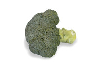 Broccoli_SV1771BL_CA_0031