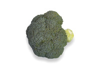 Broccoli_SV1771BL_CA_0032
