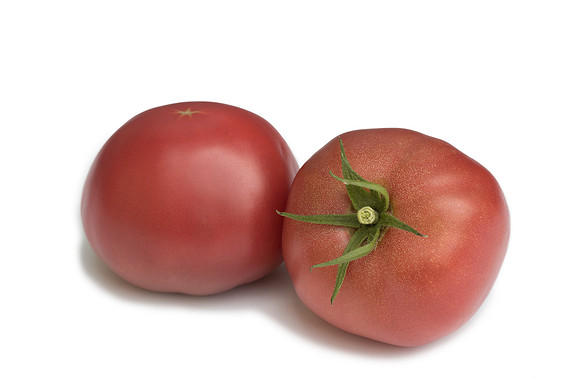 Tomato_SV2208Purple_0023