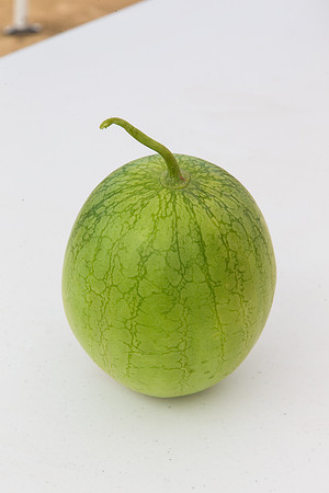 Watermelon_Wingman_CA_0083