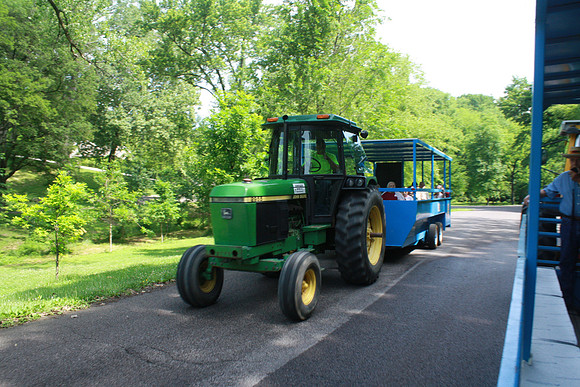 WHS_TrailDay_610