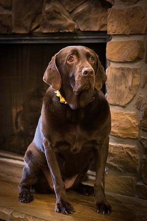 Lola_003