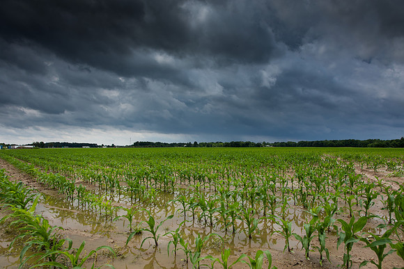 Flooding CDPe_15103