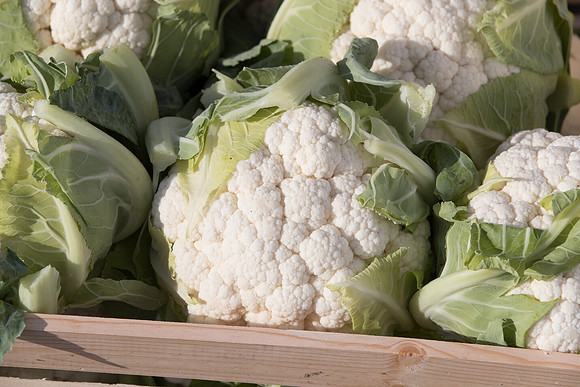 Cauliflower_Ovindoli_CA_0002