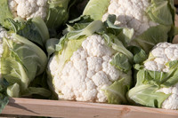 Cauliflower_Ovindoli_CA_0003
