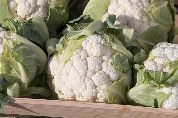 Cauliflower_Ovindoli_CA_0003