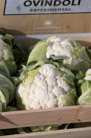 Cauliflower_Ovindoli_CA_0009