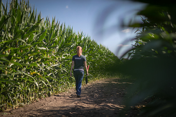 NL_WalnutIL_080719_310