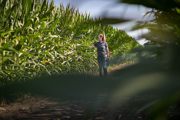 NL_WalnutIL_080719_315