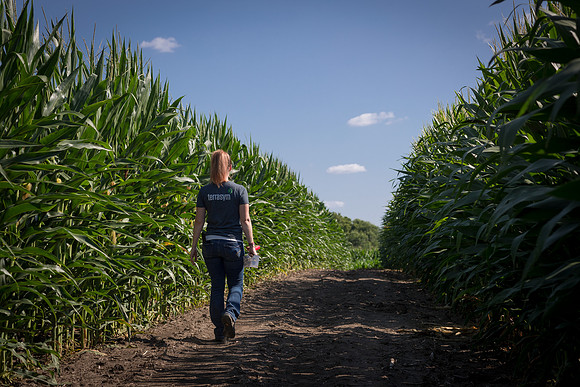 NL_WalnutIL_080719_243
