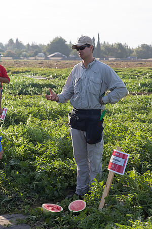 Watermelon_SV2812WA_CA_0035