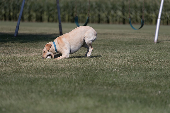 AmericasFarmers_Wendte_0933