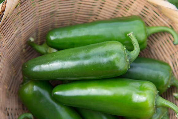 HotPepper_Papantla_MX_0027