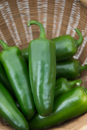 HotPepper_Papantla_MX_0015